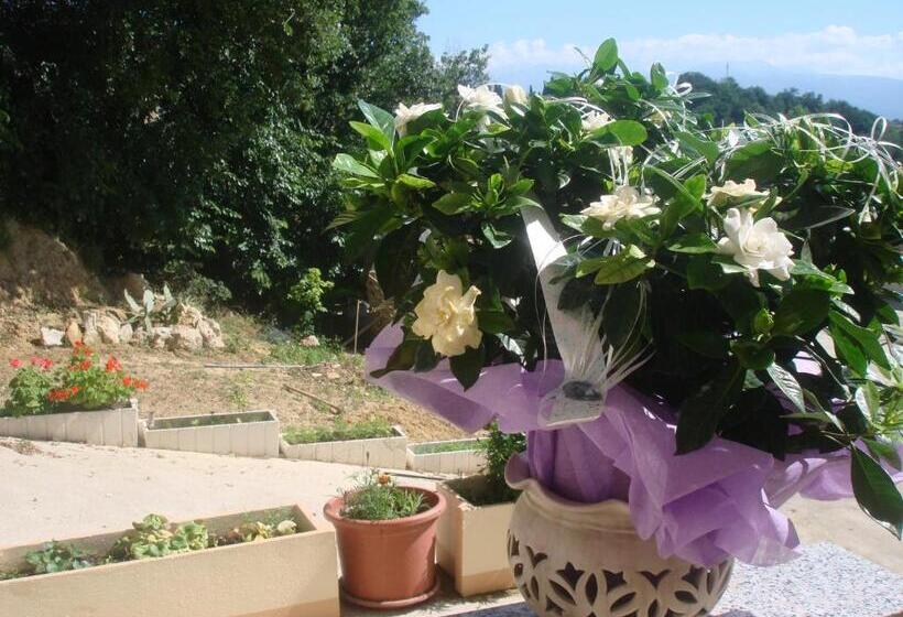 هتل B&b Villa Ciccone