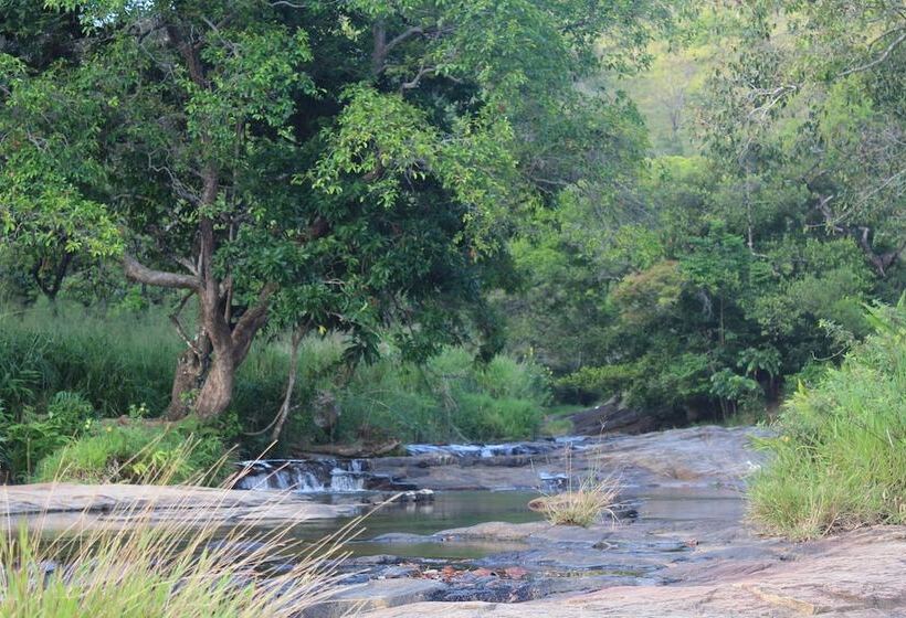 בית מלון כפרי Hi Lanka Backpackers Adults Only