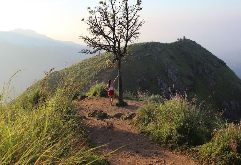 בית מלון כפרי Hi Lanka Backpackers Adults Only