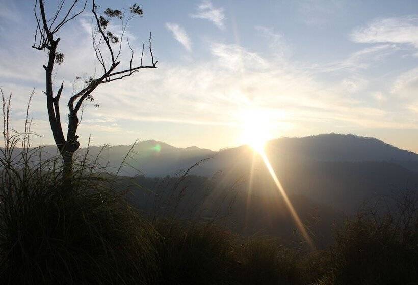 בית מלון כפרי Hi Lanka Backpackers Adults Only