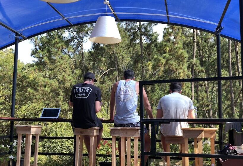 בית מלון כפרי Hi Lanka Backpackers Adults Only