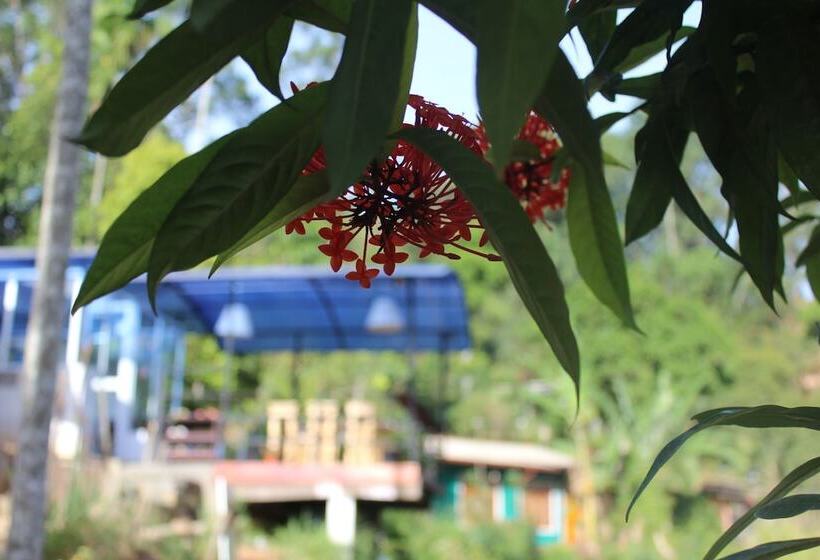 בית מלון כפרי Hi Lanka Backpackers Adults Only