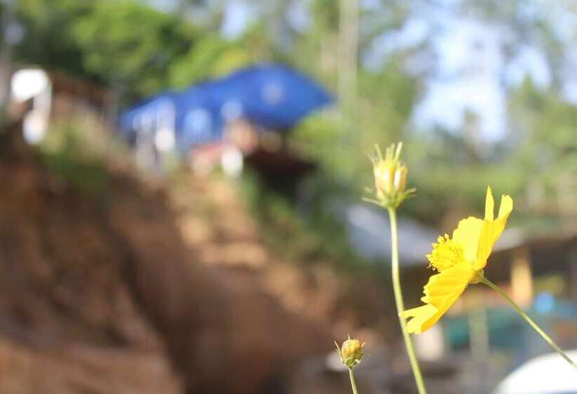 בית מלון כפרי Hi Lanka Backpackers Adults Only