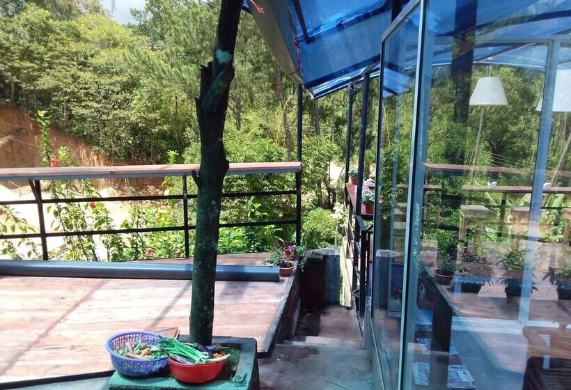 בית מלון כפרי Hi Lanka Backpackers Adults Only