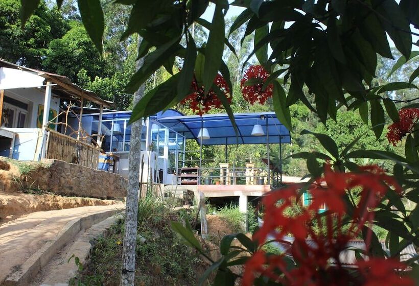 בית מלון כפרי Hi Lanka Backpackers Adults Only