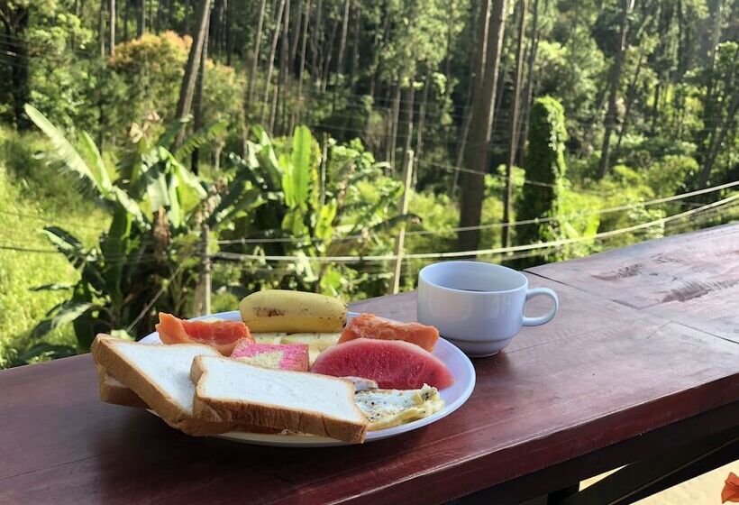 בית מלון כפרי Hi Lanka Backpackers Adults Only