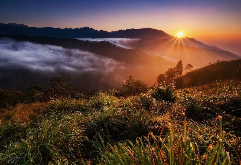 בית מלון כפרי Hi Lanka Backpackers Adults Only