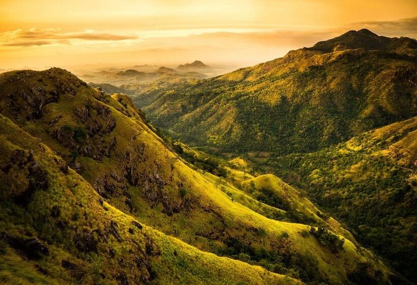 בית מלון כפרי Hi Lanka Backpackers Adults Only