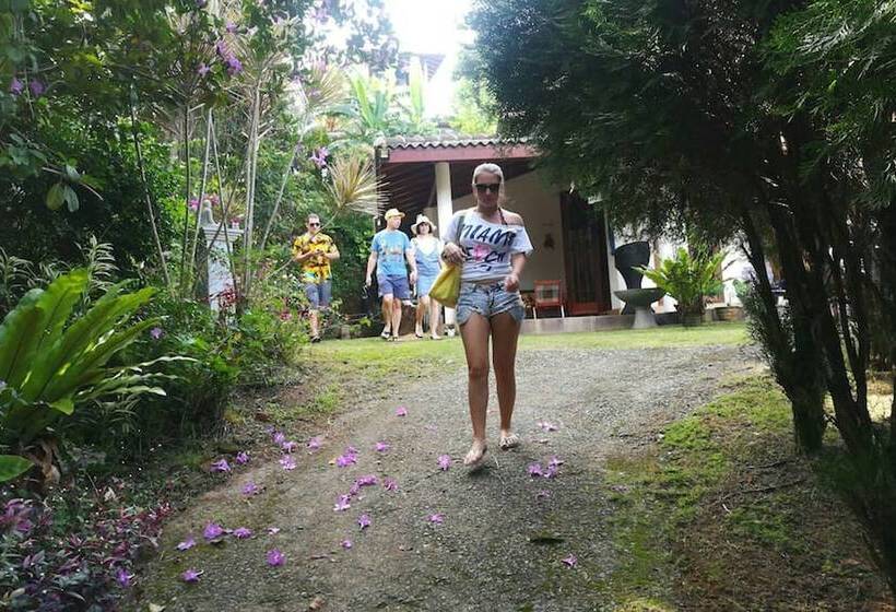 ホテル Hikkajayasri Villa Peacock