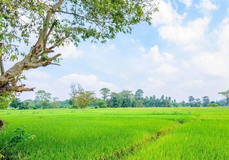 호텔 The Berrycove Bungalow