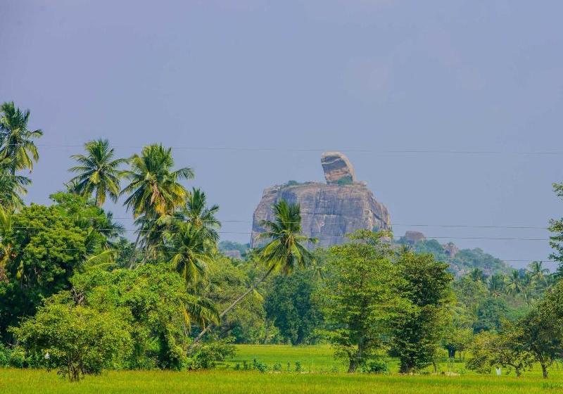 호텔 The Berrycove Bungalow