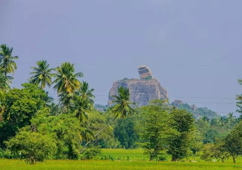 Hotelli The Berrycove Bungalow