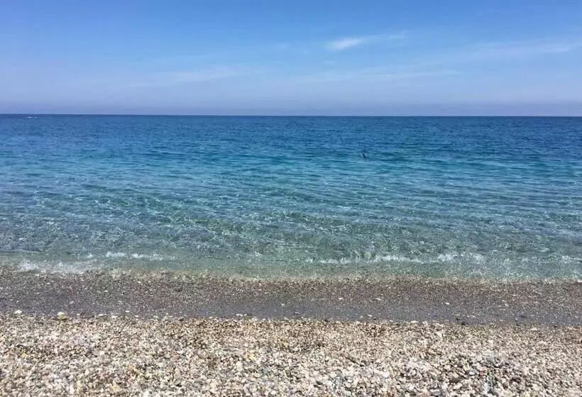 ホテル Agriturismo Don Cesarino