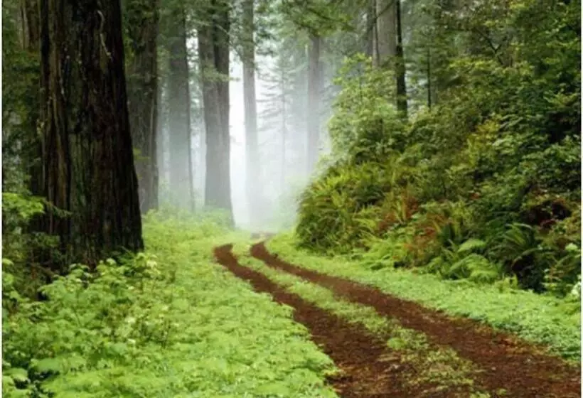 ホテル Agriturismo Don Cesarino