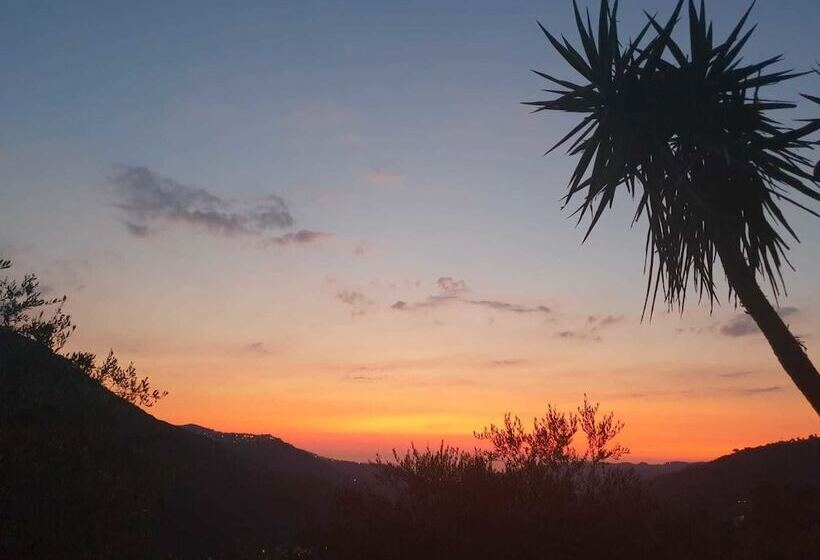 ホテル Agriturismo Don Cesarino