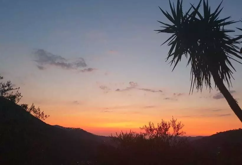 ホテル Agriturismo Don Cesarino