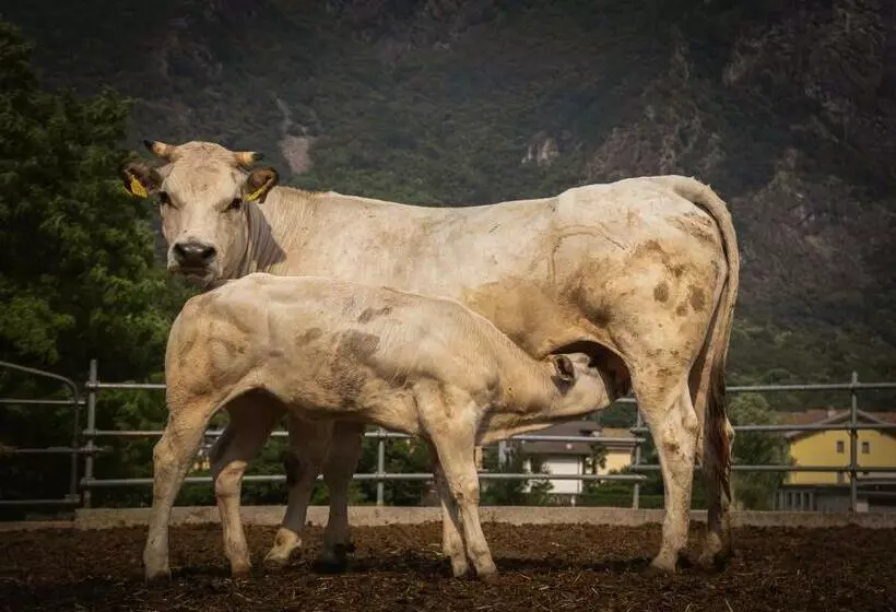 Hotelli Agriturismo La Campagnola