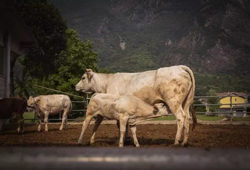 Hotelli Agriturismo La Campagnola