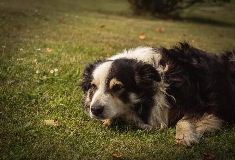 Hotelli Agriturismo La Campagnola