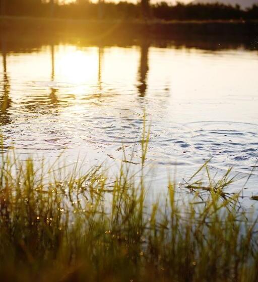 Hotel Almar View Guest House