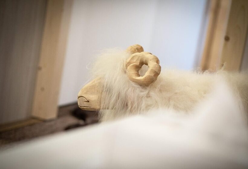 ホテル Apartamenty Jedrol