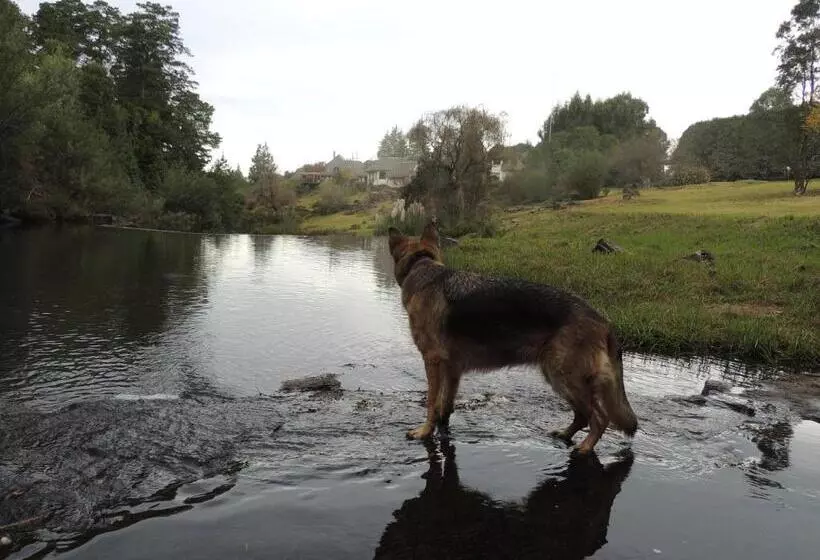 Hotelli Hawklee Country House