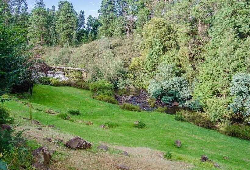 酒店 Hawklee Country House