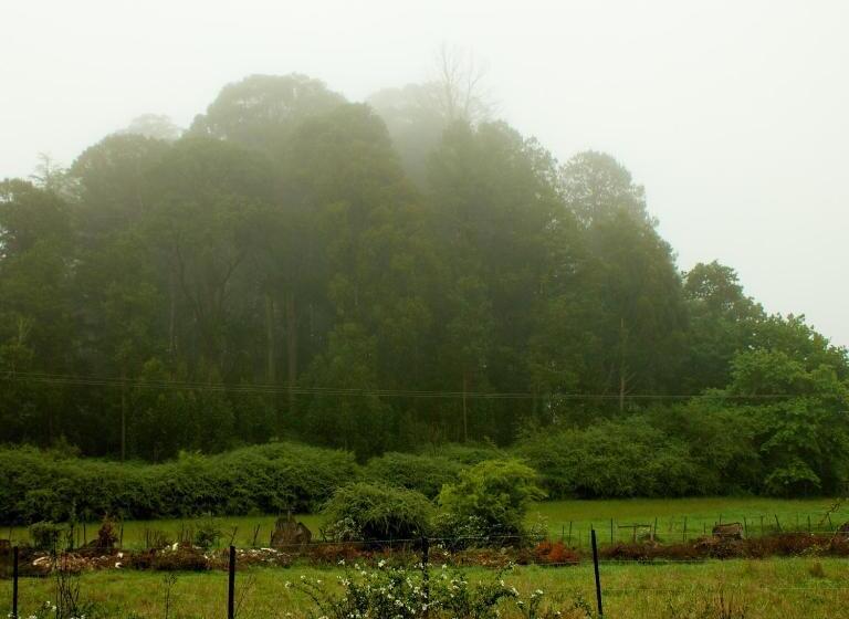 酒店 Hawklee Country House