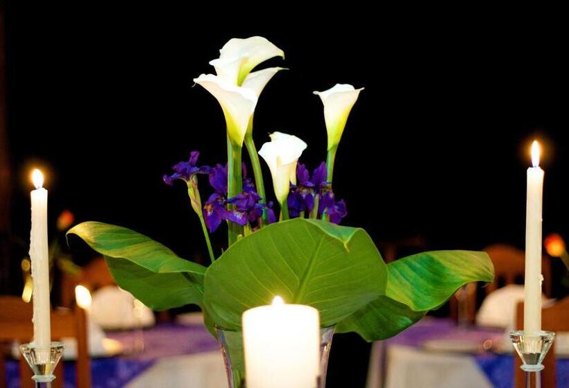 酒店 Hawklee Country House