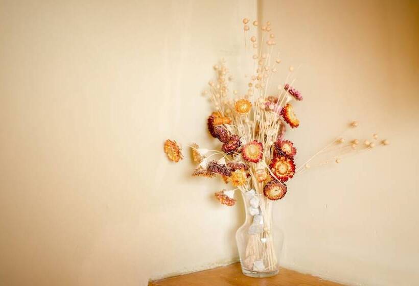 בית מלון כפרי Huksum House