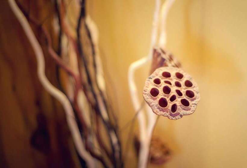 בית מלון כפרי Huksum House