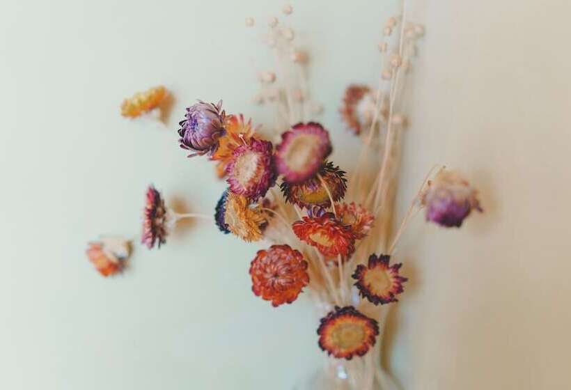 בית מלון כפרי Huksum House