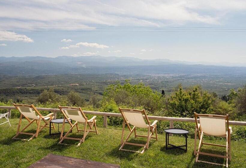 فندق Mazaraki Guesthouse