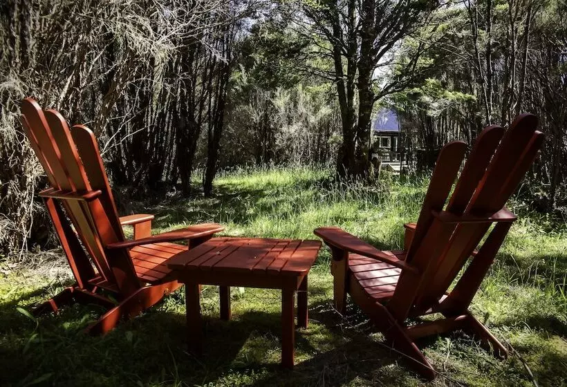 Hotelli Night Sky Cottage