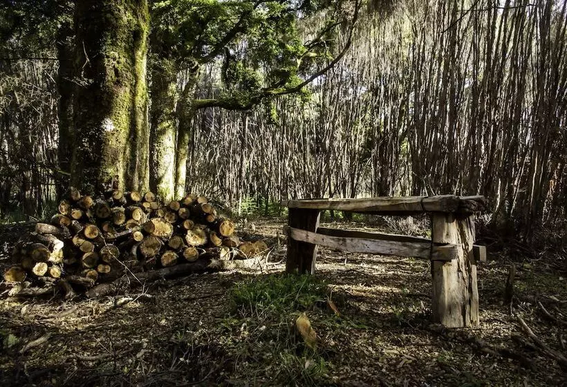 Hotelli Night Sky Cottage