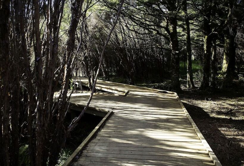 酒店 Night Sky Cottage