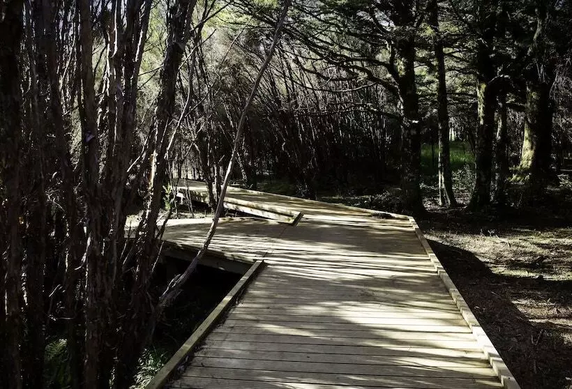 Hotelli Night Sky Cottage