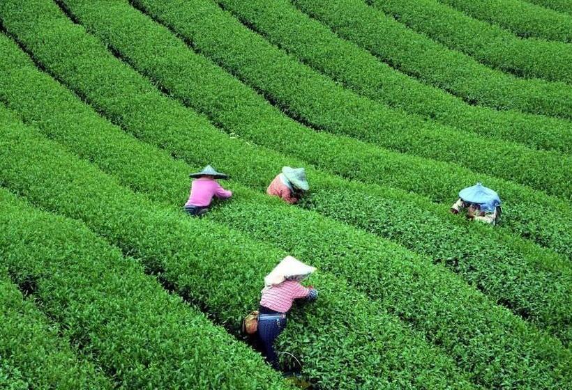 هتل Shen Shan Lin Nai B&b