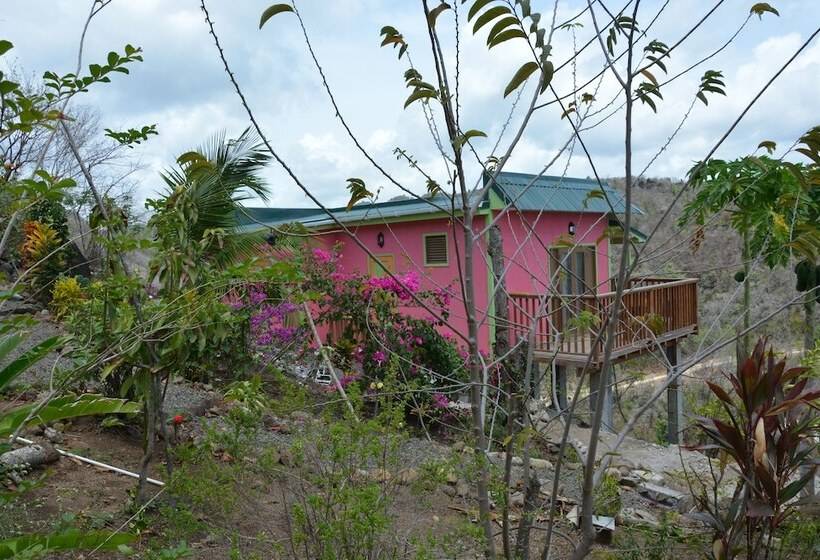 هتل Tropical Paradise View