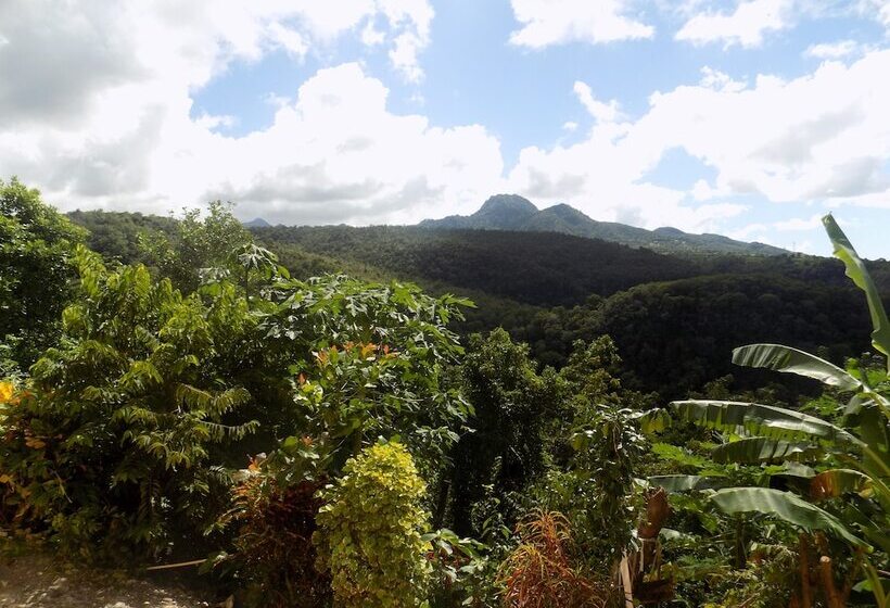 هتل Tropical Paradise View