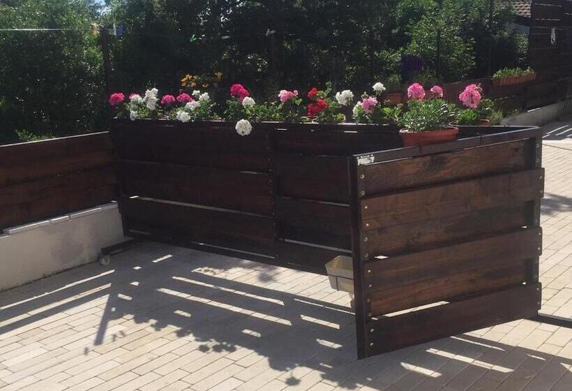 Пансион Villa Betiga