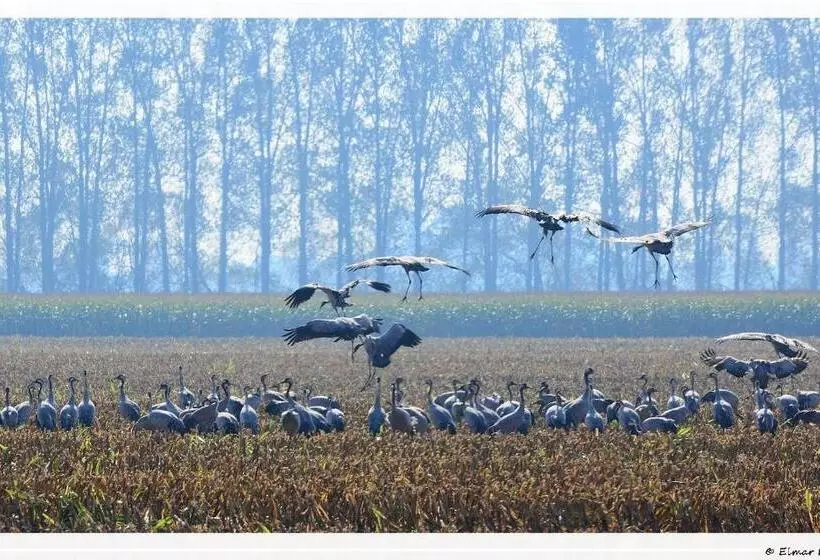 Landpension Adebar