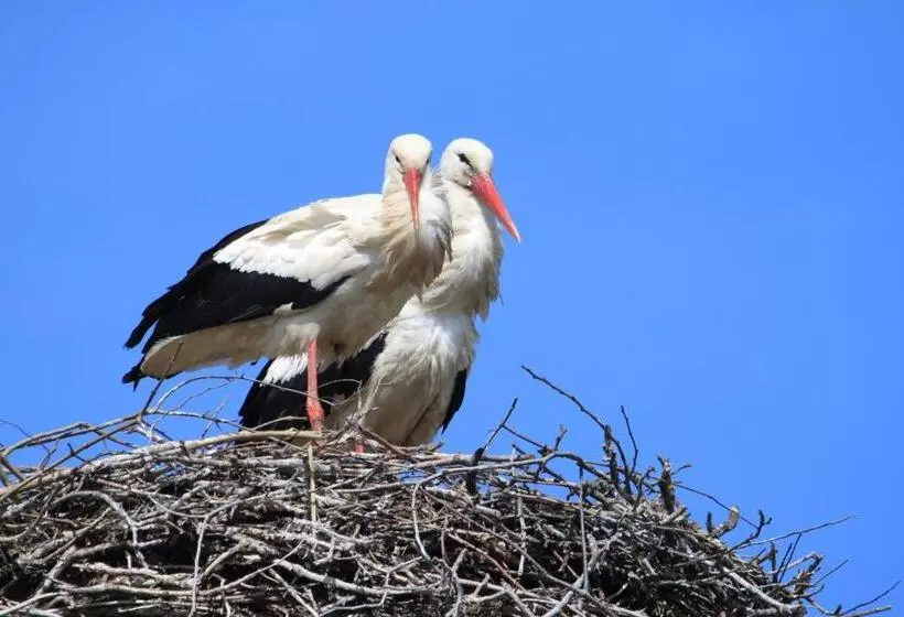 Landpension Adebar