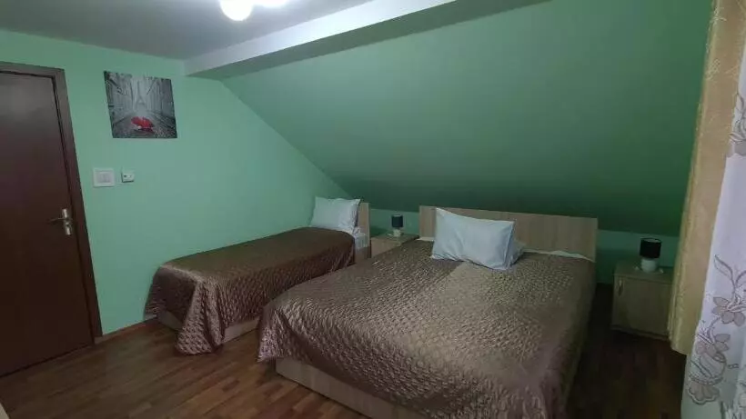 Pensiunea Aurora  Hostel Voineasa