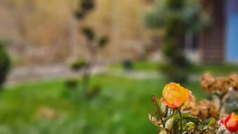 Pensiunea Aurora  Hostel Voineasa