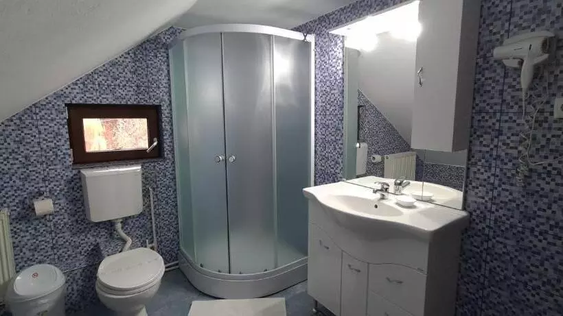 Pensiunea Aurora  Hostel Voineasa