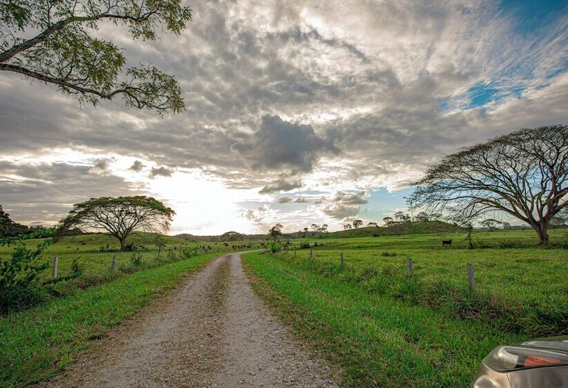 هتل Chan Chich Lodge