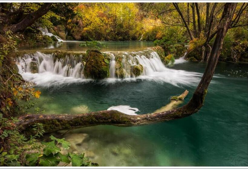 ペンション Guest House Slavica