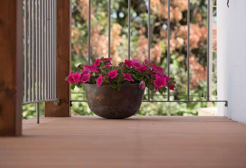 Thyone Uno Bal Cottage