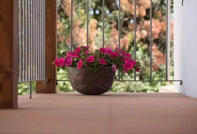 Thyone Uno Bal Cottage